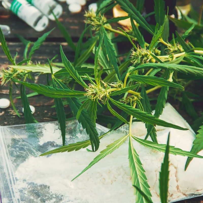Fentanyl In Weed Fentanyl Laced Weed